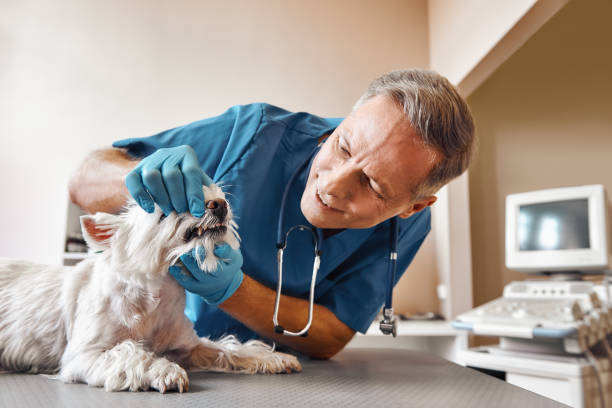 Best Emergency Dentist for Lost Fillings or Crowns in Quitman, GA